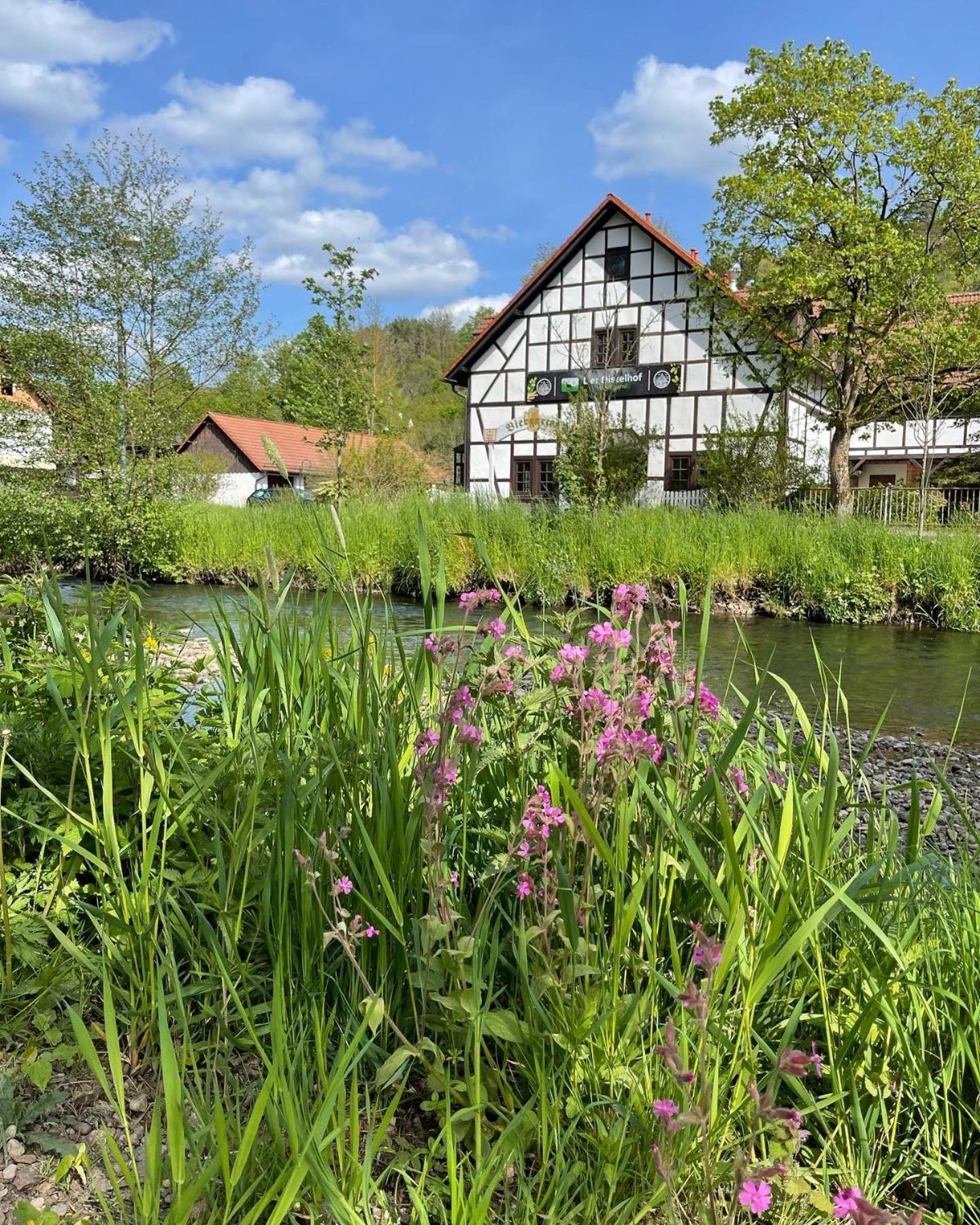 Landhotel Der Distelhof Mit Scheunencafe Dillstadt 外观 照片
